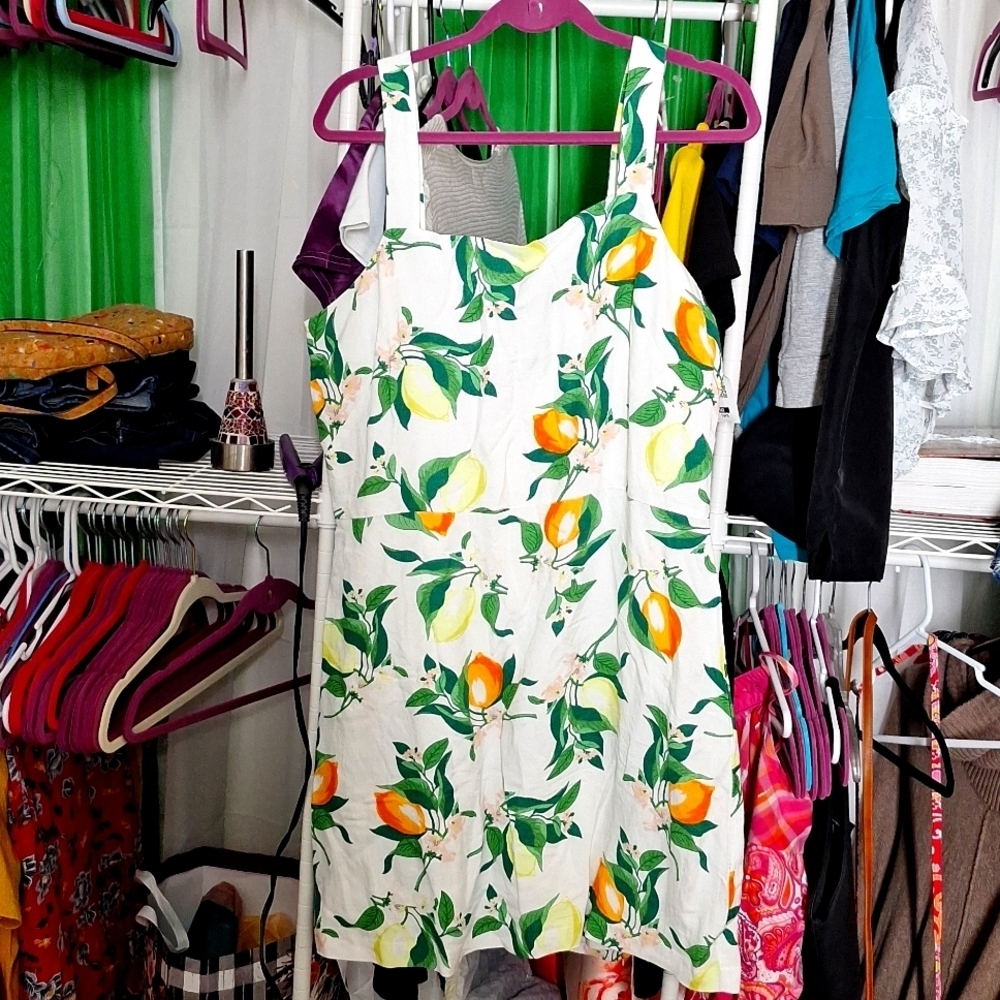 ANN TAYLOR FACTORY DRESS SIZE 14P LEMON PRINT